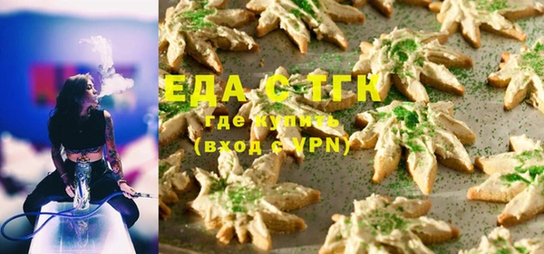 ECSTASY Горняк