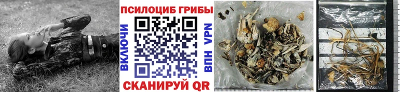 Псилоцибиновые грибы MAGIC MUSHROOMS Пучеж
